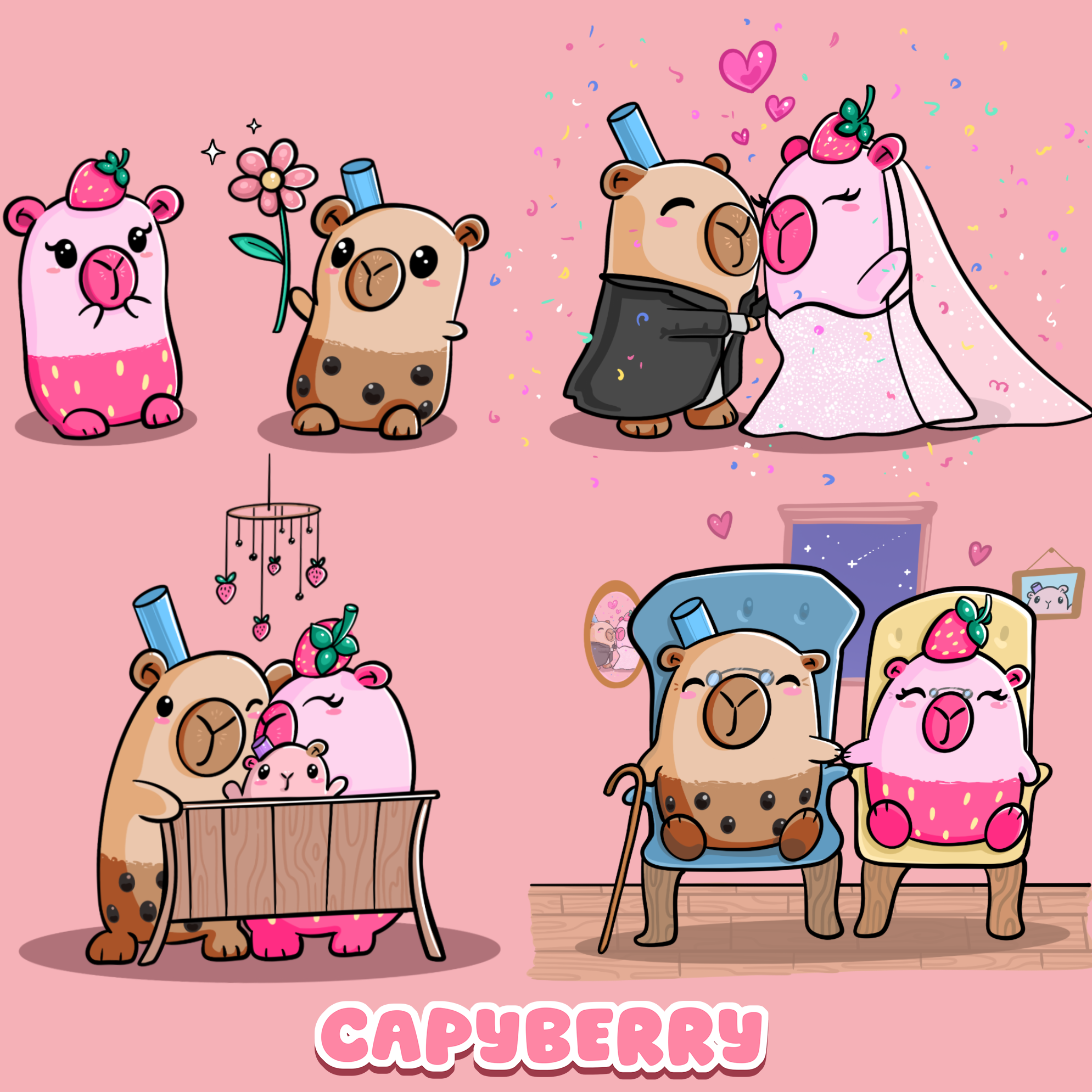 Capyberry Kit