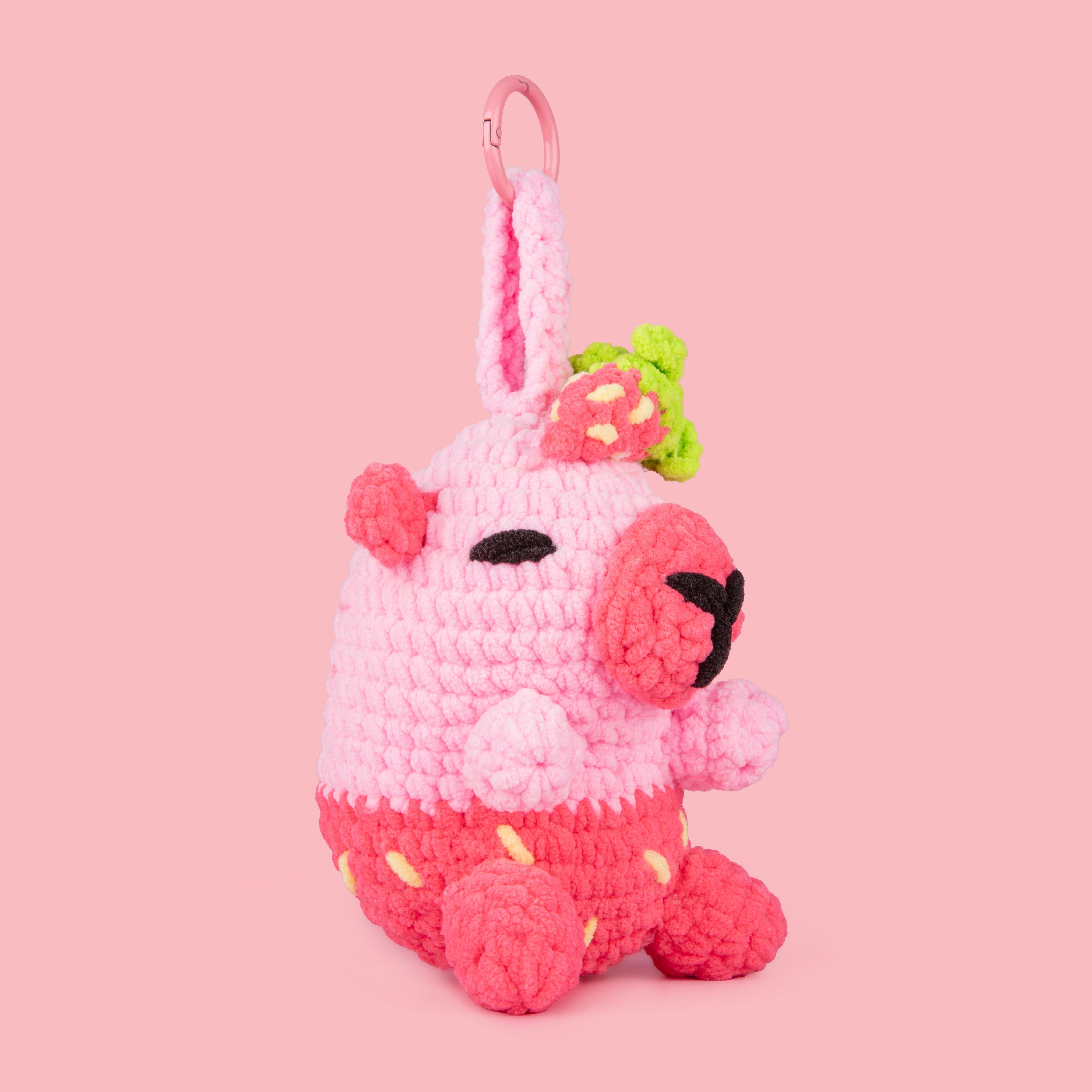 Capyberry Kit